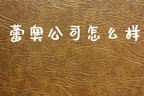 蕾奥公司怎么样_https://www.apanben.com_股市分析_第1张