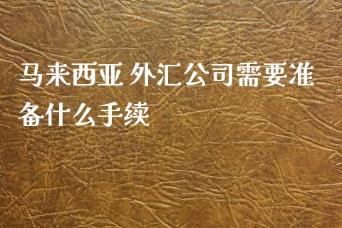 马来西亚 外汇公司需要准备什么手续_https://www.apanben.com_股票怎么玩_第1张