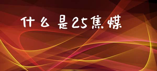 什么是25焦煤_https://www.apanben.com_国际财经_第1张
