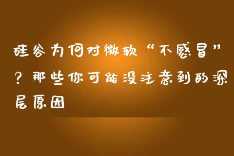 硅谷为何对微软“不感冒”？那些你可能没注意到的深层原因_https://www.apanben.com_期货学院_第1张