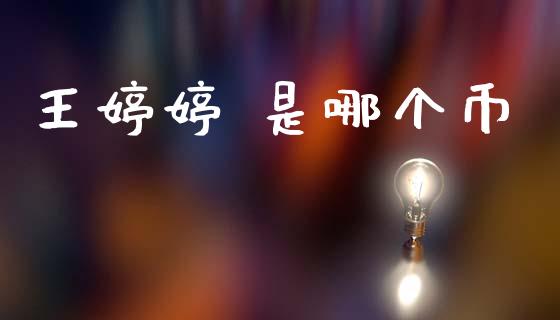 王婷婷 是哪个币_https://www.apanben.com_期货学院_第1张
