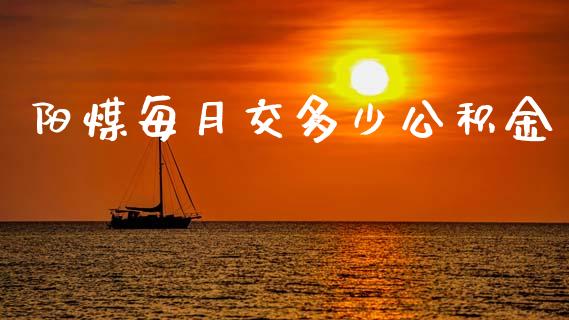 阳煤每月交多少公积金_https://www.apanben.com_期货学院_第1张