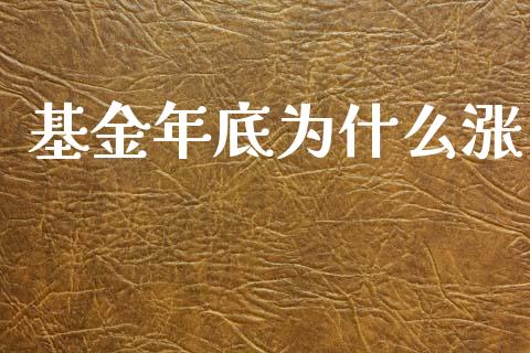 基金年底为什么涨_https://www.apanben.com_股市指导_第1张