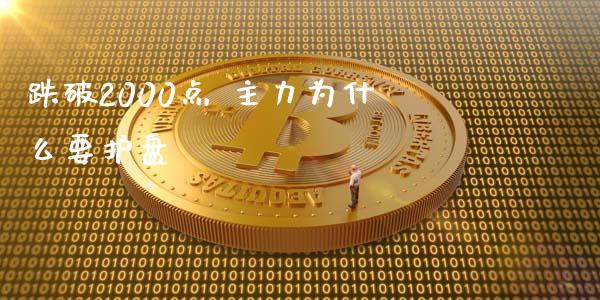 跌破2000点 主力为什么要护盘_https://www.apanben.com_股票怎么玩_第1张