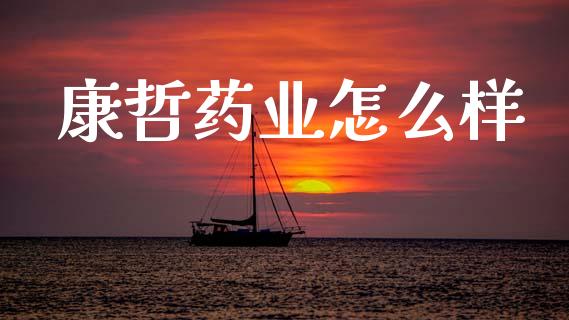 康哲药业怎么样_https://www.apanben.com_期货学院_第1张