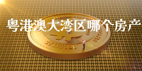 粤港澳大湾区哪个房产_https://www.apanben.com_股市指导_第1张