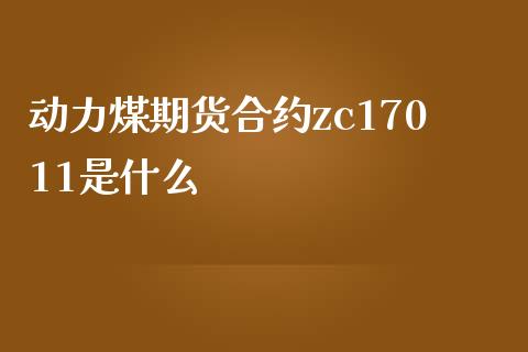 动力煤期货合约zc17011是什么_https://www.apanben.com_财经资讯_第1张