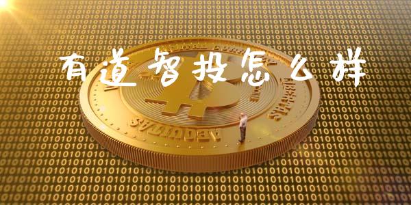 有道智投怎么样_https://www.apanben.com_期货学院_第1张