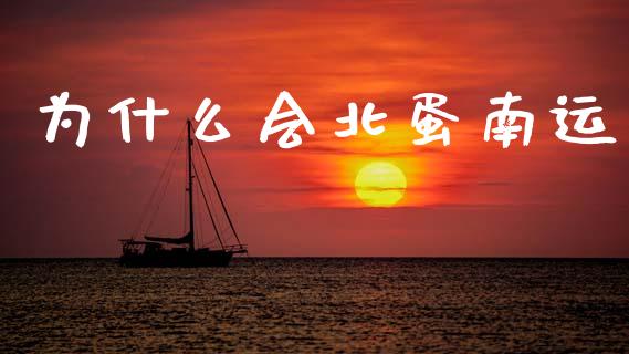 为什么会北蛋南运_https://www.apanben.com_期货学院_第1张