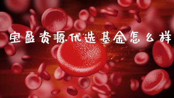 宝盈资源优选基金怎么样_https://www.apanben.com_在线喊单_第1张