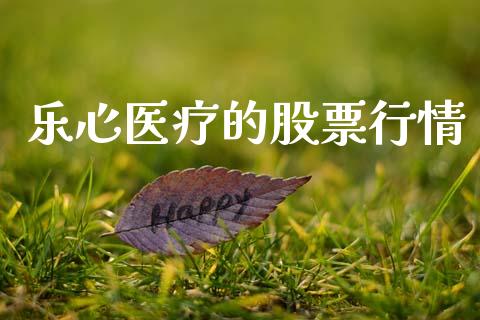 乐心医疗的股票行情_https://www.apanben.com_股市分析_第1张