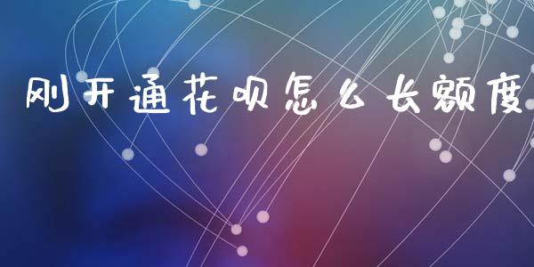 刚开通花呗怎么长额度_https://www.apanben.com_期货学院_第1张