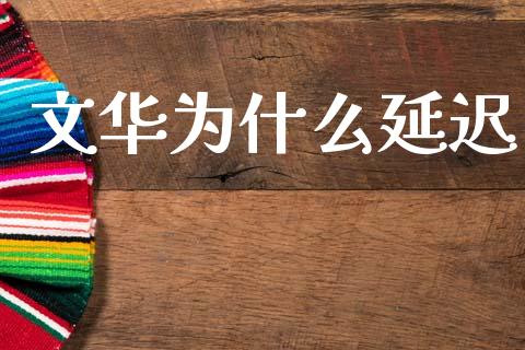 文华为什么延迟_https://www.apanben.com_期货学院_第1张