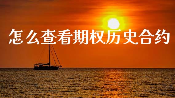 怎么查看期权历史合约_https://www.apanben.com_股票怎么玩_第1张