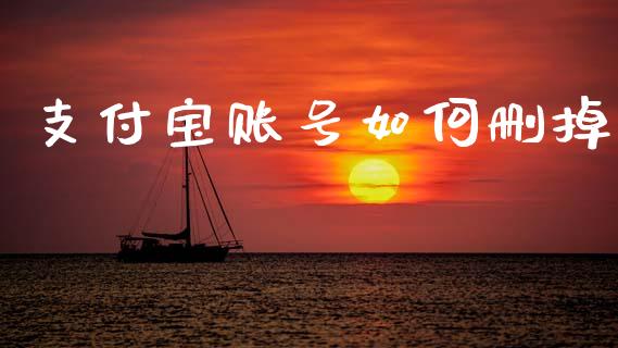 支付宝账号如何删掉_https://www.apanben.com_期货学院_第1张
