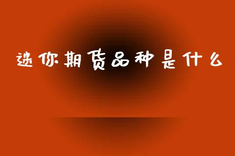 迷你期货品种是什么_https://www.apanben.com_股市指导_第1张