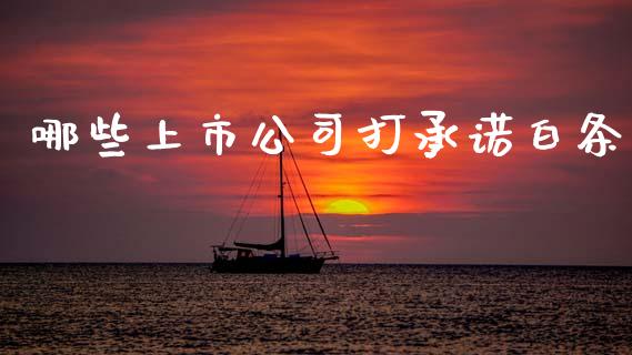 哪些上市公司打承诺白条_https://www.apanben.com_国际期货_第1张
