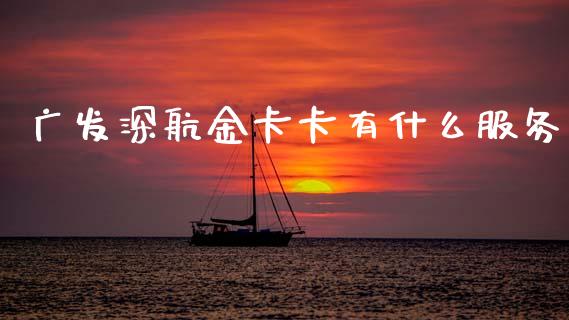 广发深航金卡卡有什么服务_https://www.apanben.com_财经资讯_第1张