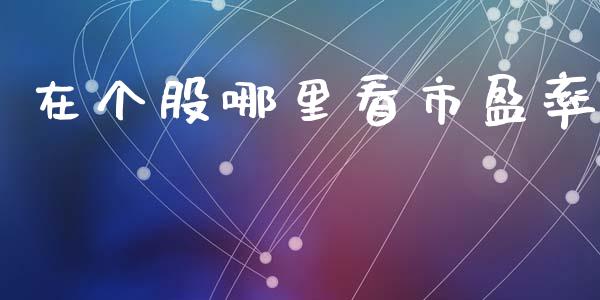 在个股哪里看市盈率_https://www.apanben.com_在线喊单_第1张