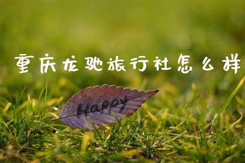 重庆龙驰旅行社怎么样_https://www.apanben.com_国际财经_第1张