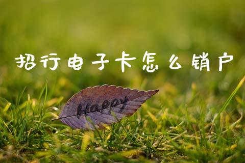招行电子卡怎么销户_https://www.apanben.com_期货学院_第1张