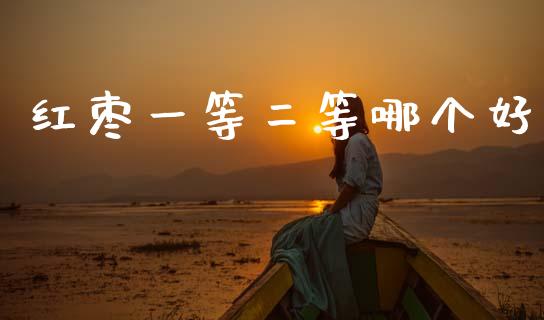红枣一等二等哪个好_https://www.apanben.com_财经资讯_第1张