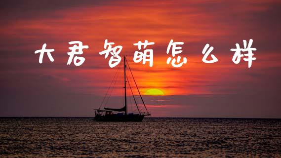 大君智萌怎么样_https://www.apanben.com_在线喊单_第1张