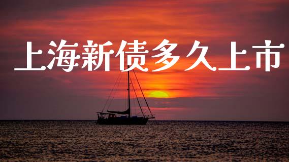 上海新债多久上市_https://www.apanben.com_在线喊单_第1张