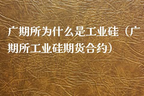 广期所为什么是工业硅（广期所工业硅期货合约）_https://www.apanben.com_期货学院_第1张