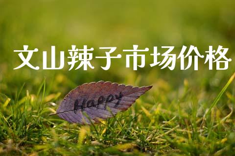 文山辣子市场价格_https://www.apanben.com_国际财经_第1张