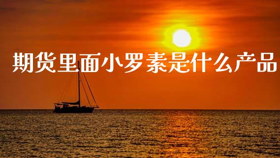 期货里面小罗素是什么产品_https://www.apanben.com_股票怎么玩_第1张