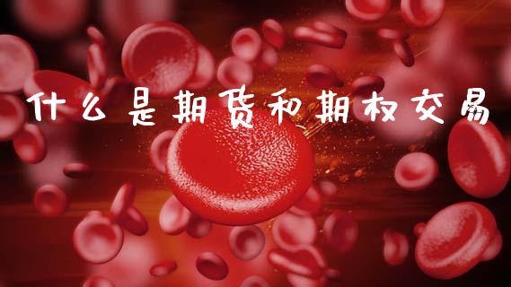 什么是期货和期权交易_https://www.apanben.com_国际财经_第1张