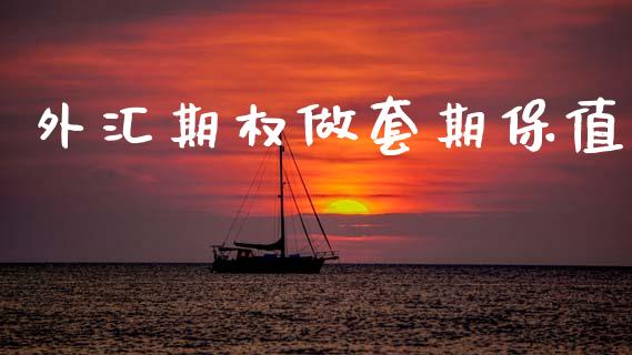 外汇期权做套期保值_https://www.apanben.com_国际财经_第1张