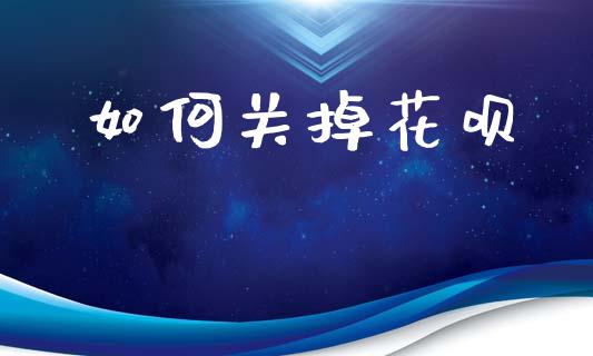 如何关掉花呗_https://www.apanben.com_财经资讯_第1张