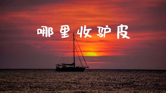 哪里收驴皮_https://www.apanben.com_期货学院_第1张