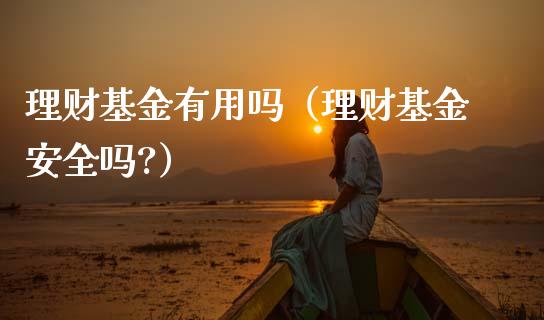 理财基金有用吗（理财基金安全吗?）_https://www.apanben.com_国际财经_第1张