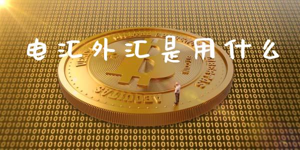 电汇外汇是用什么_https://www.apanben.com_财经资讯_第1张