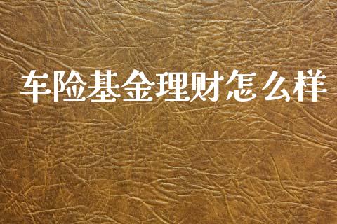 车险基金理财怎么样_https://www.apanben.com_国际财经_第1张