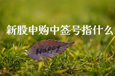 新股申购中签号指什么_https://www.apanben.com_国际财经_第1张