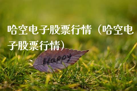 哈空电子股票行情（哈空电子股票行情）_https://www.apanben.com_股市指导_第1张