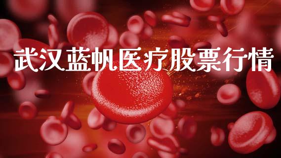 武汉蓝帆医疗股票行情_https://www.apanben.com_股市分析_第1张