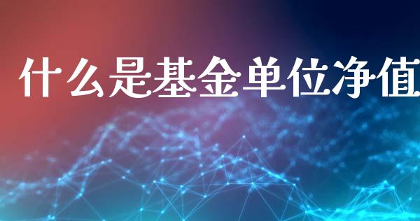 什么是基金单位净值_https://www.apanben.com_国际期货_第1张