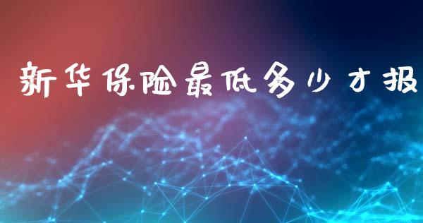 新华保险最低多少才报_https://www.apanben.com_国际期货_第1张