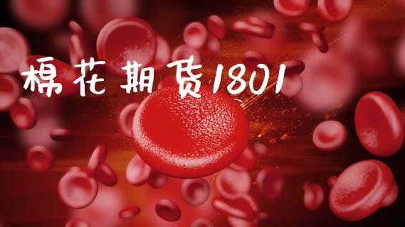 棉花期货1801_https://www.apanben.com_股票怎么玩_第1张