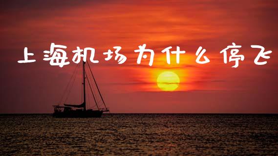 上海机场为什么停飞_https://www.apanben.com_财经资讯_第1张