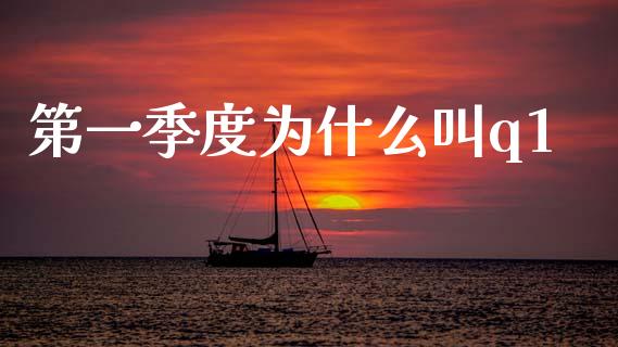 第一季度为什么叫q1_https://www.apanben.com_股票怎么玩_第1张