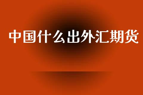 中国什么出外汇期货_https://www.apanben.com_国际财经_第1张
