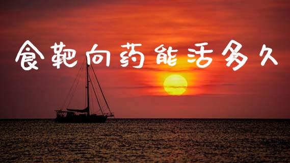 食靶向药能活多久_https://www.apanben.com_股市分析_第1张