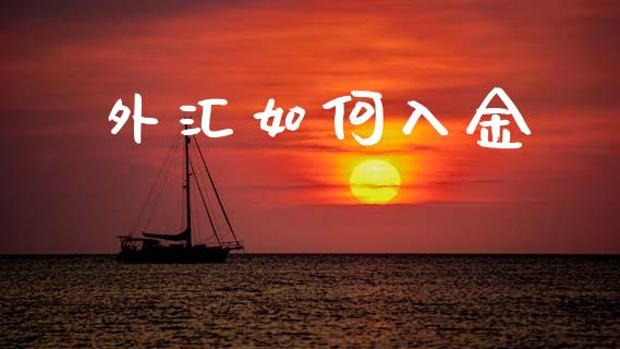 外汇如何入金_https://www.apanben.com_国际期货_第1张