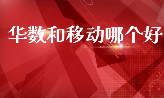 华数和移动哪个好_https://www.apanben.com_国际财经_第1张